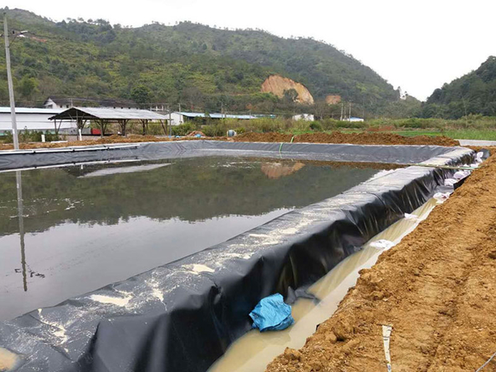 魚(yú)塘里用土工膜做防滲層需不需要回填土壤？